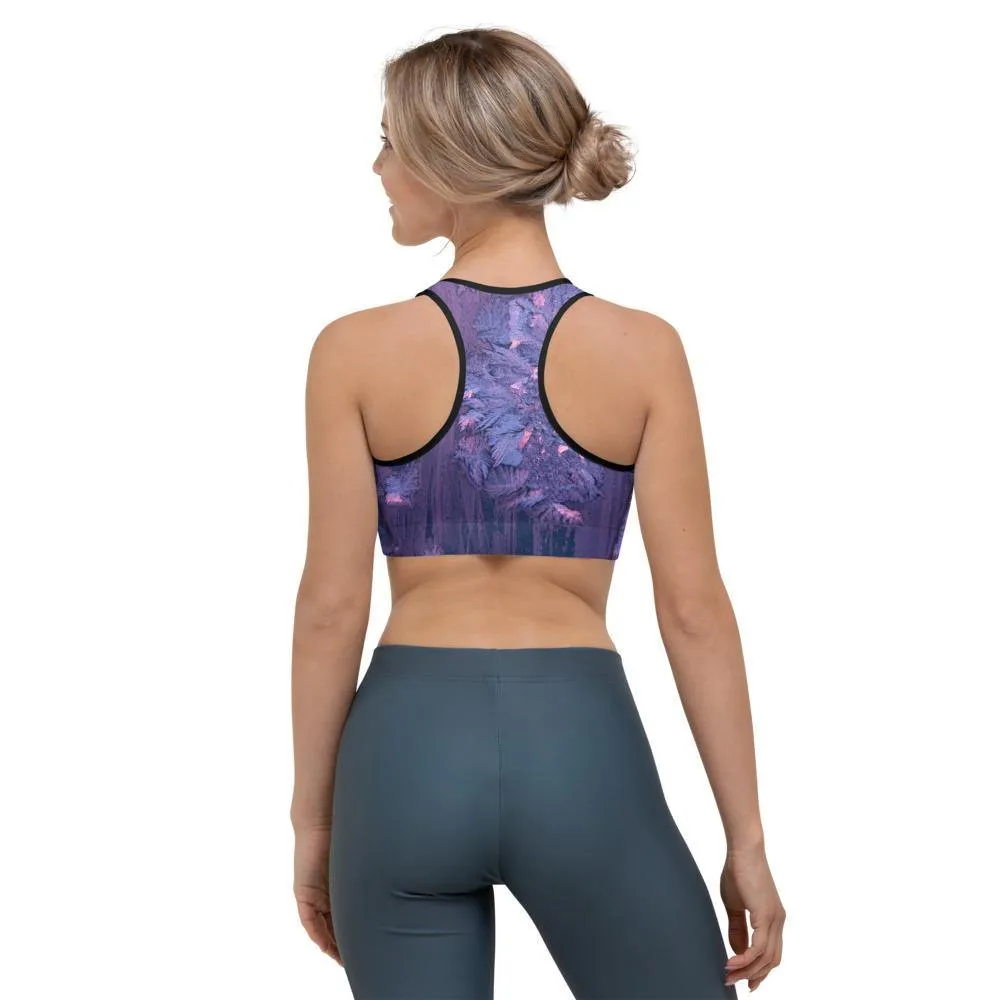 Fly Sports Bra