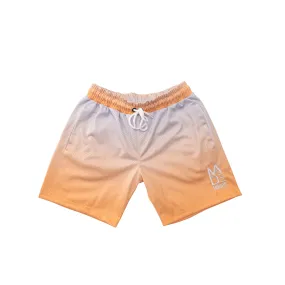 Sun Dried Shorts